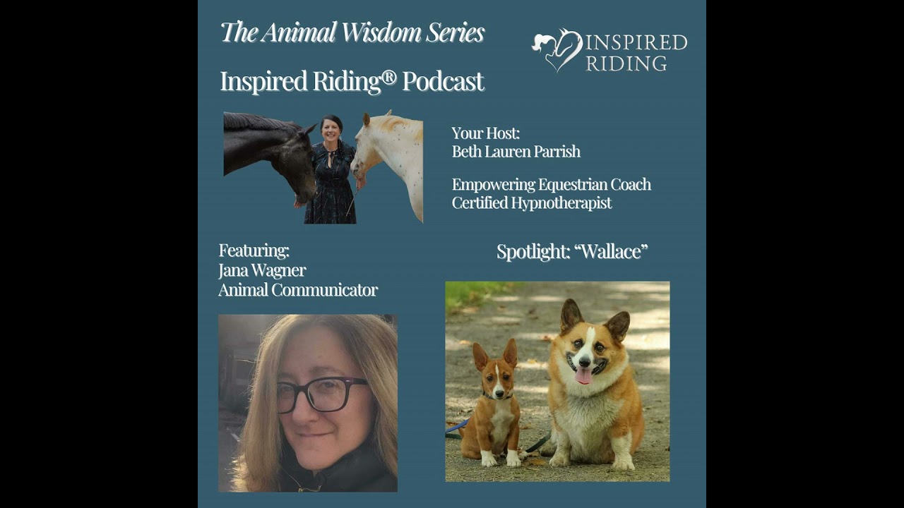 Advice from a Patient Warrior. A conversation with Wallace.