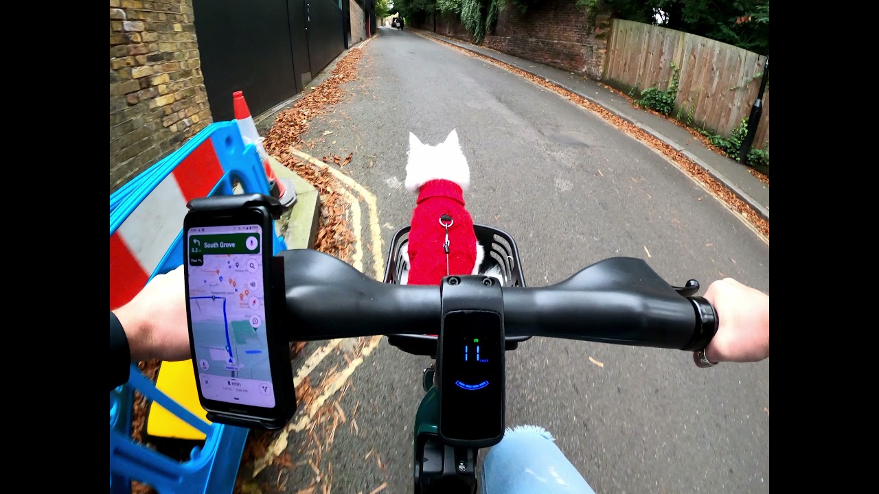 Swain's Lane on an E-Bike... with a cat