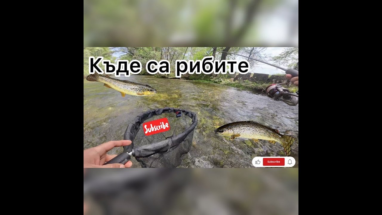 Бърз риболов на пъстърва по река Въча