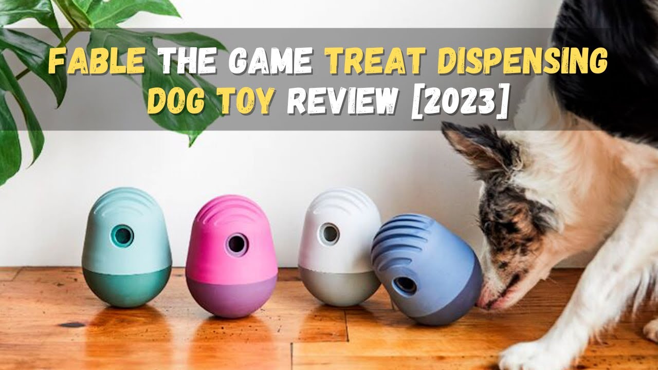 FABLE The Game Treat Dispensing Dog Toy - Review [2023] ⭐⭐⭐⭐