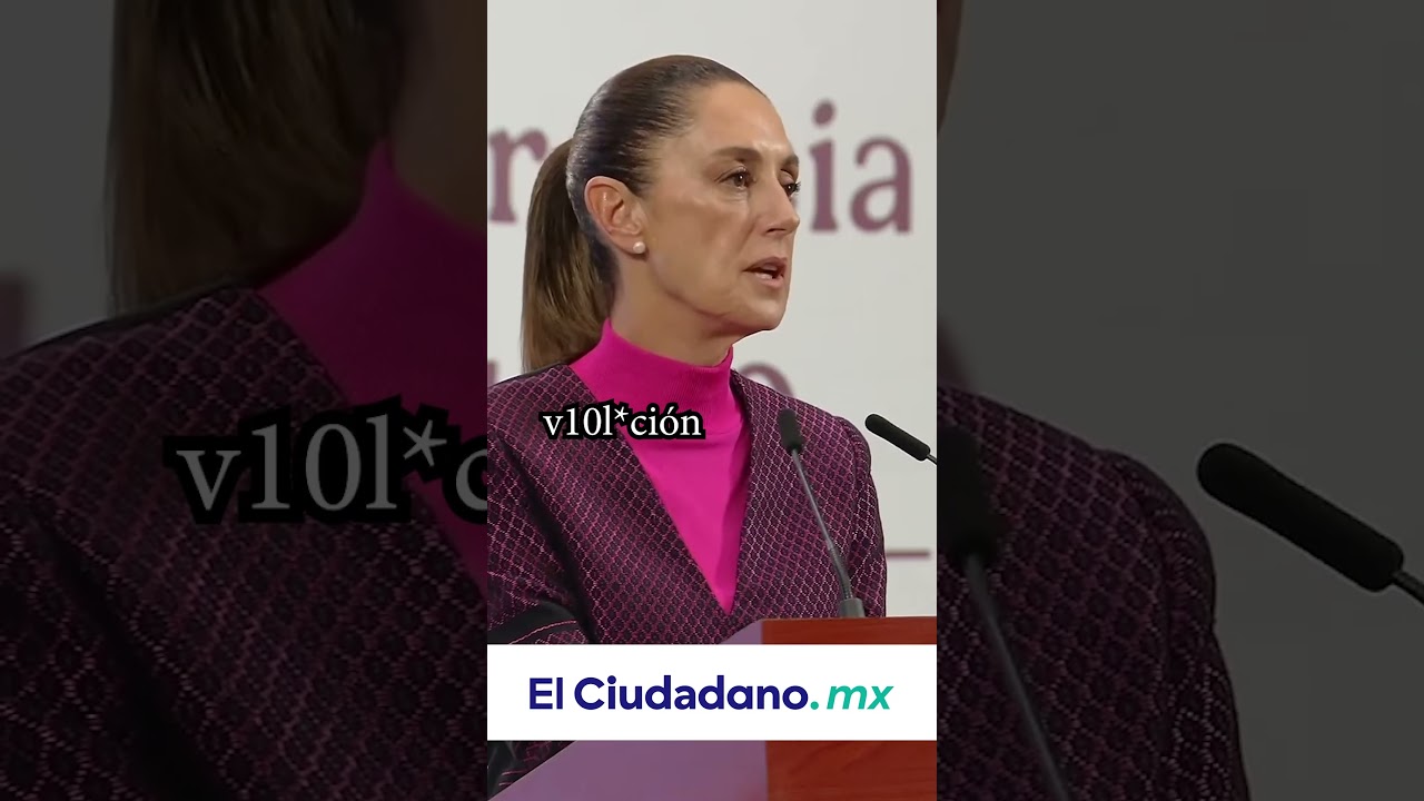 Se podr&iacute;an presentar denuncias en casos de v10l*ci&oacute;n de derechos humanos en redadas en&nbsp;EE.UU.