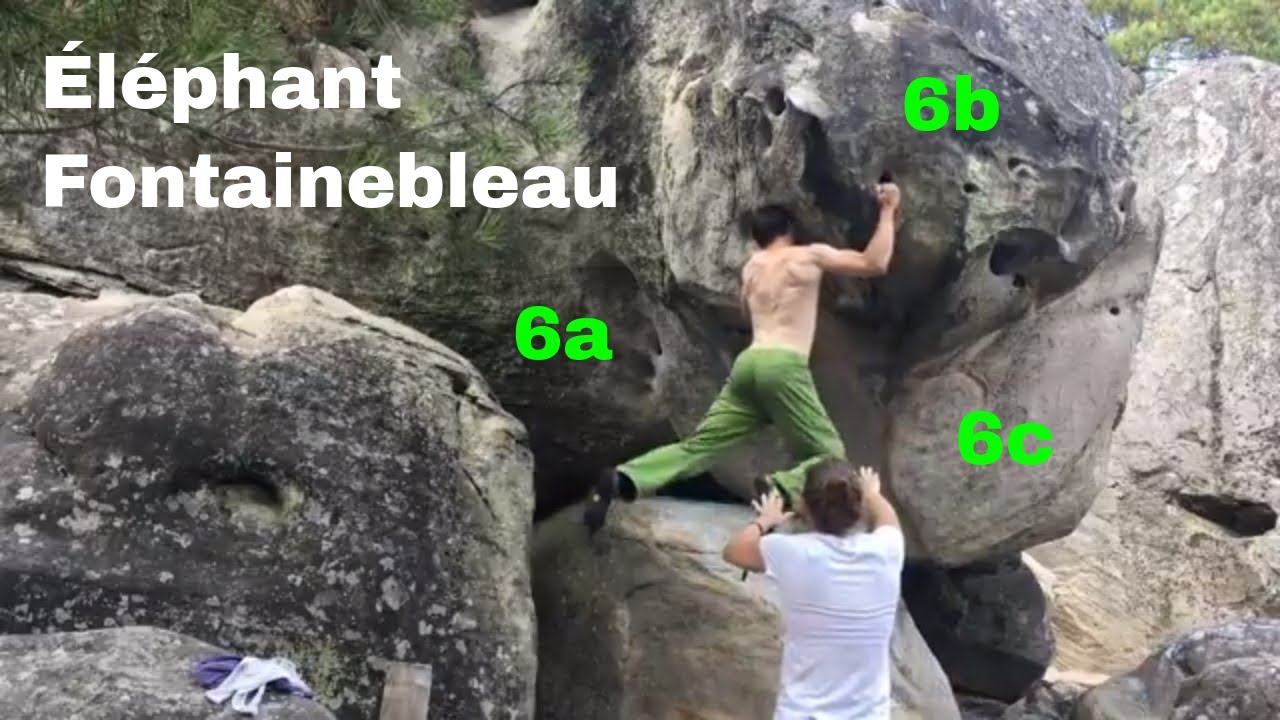 Fontainebleau Part 3 // At the Éléphant