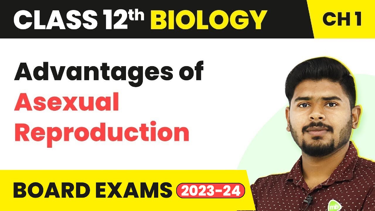 Advantages of Asexual Reproduction | Class 12 Biology Chapter 1 NCERT/NEET (2022-23)