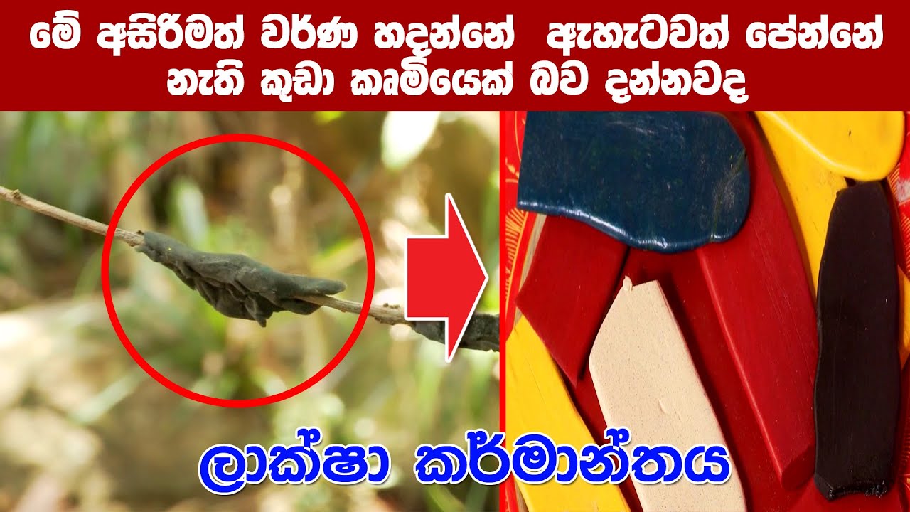 ලක්ෂා කර්මාන්තය 1 කොටස | Sri Lanka Laksha Karmanthaya
