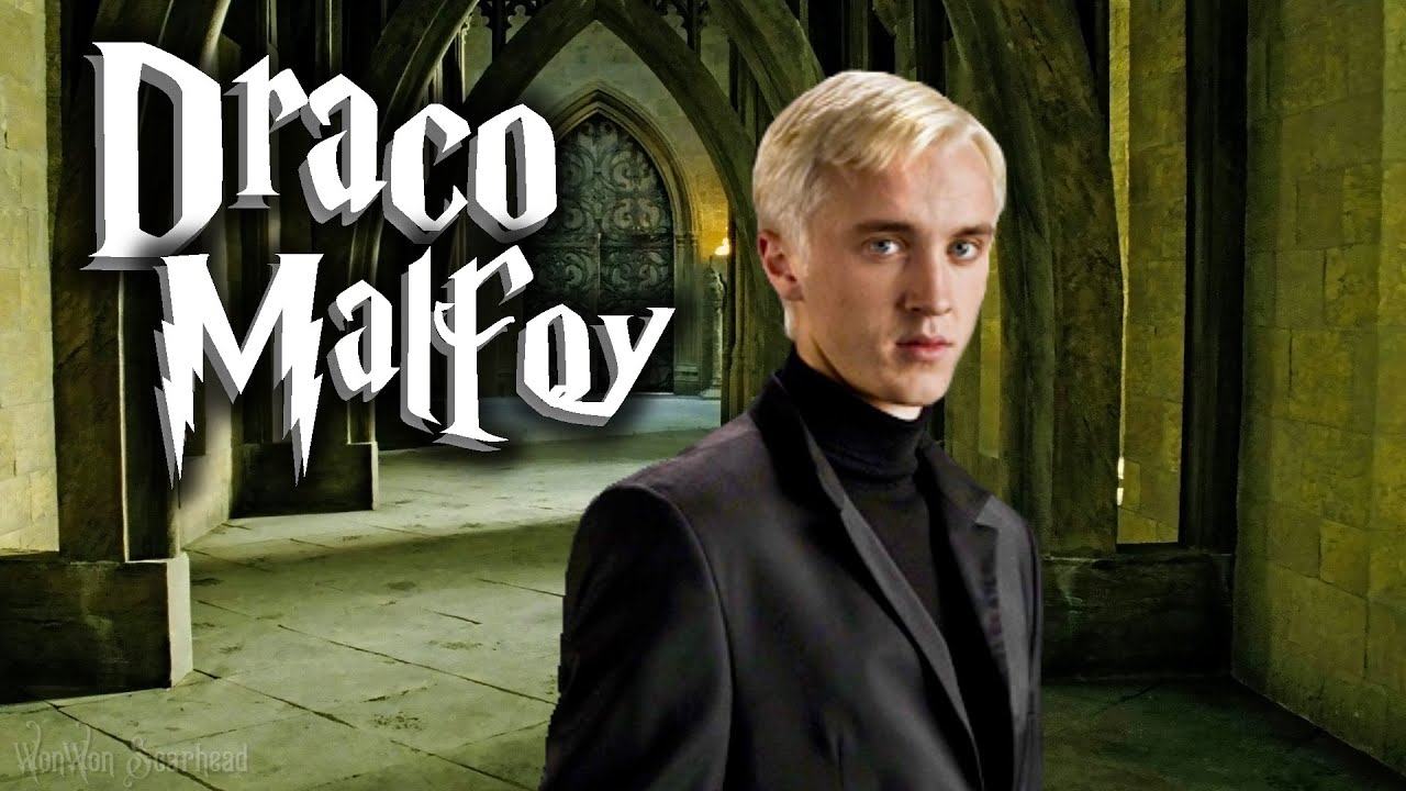Adorable Draco Malfoy talking to you 1 HOUR ASMR 🐍 Draco Harry Potter POV Study Session ambience