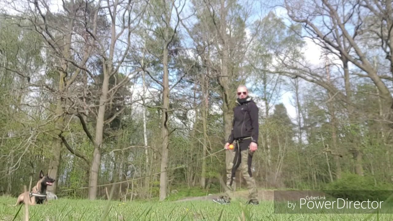 Passivitetsträning