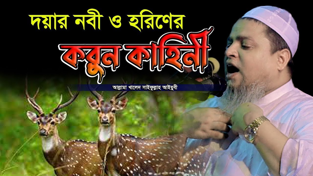 দয়ার নবী ও হরিণীর করুন কাহিনী,খালেদ সাইফুল্লাহ আইয়ুবী,khaled saifullah ayiub