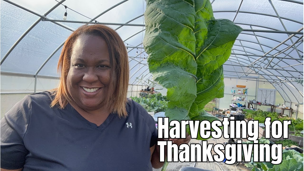 Garden Harvest for Thanksgiving | Special Thanksgiving Message