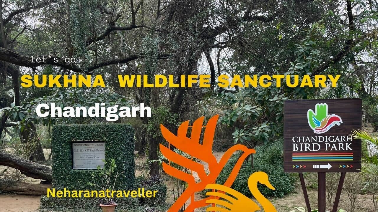 Explore Sukhna Wildlife Sanctuary, Chandigarh with @neharanatraveller 🌿 #AdventureAwaits😎