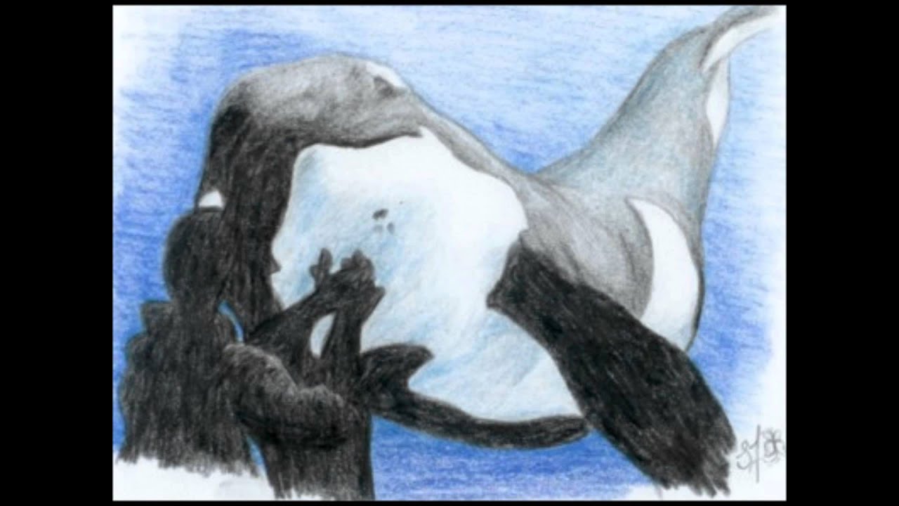 Keiko The Orca Whale Tribute
