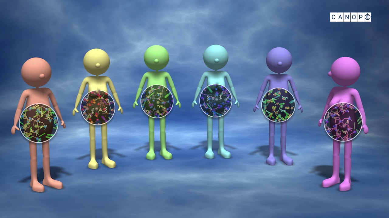 Corpus : Au cœur des organes. Le microbiote intestinal