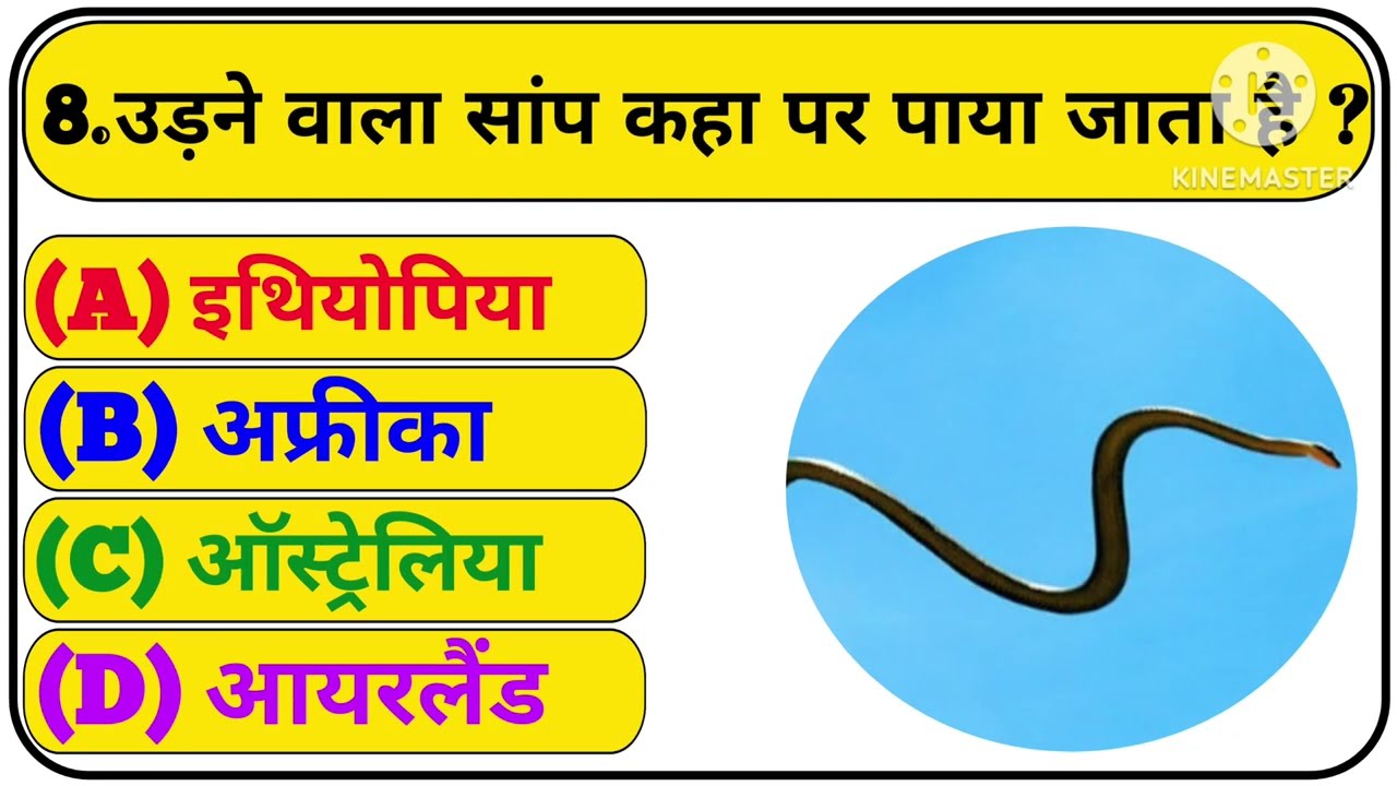 Gk Question ॥ Gk In Hindi ॥ Gk Question and Answer ॥ Gk Quiz ॥ MJ AG STUDY