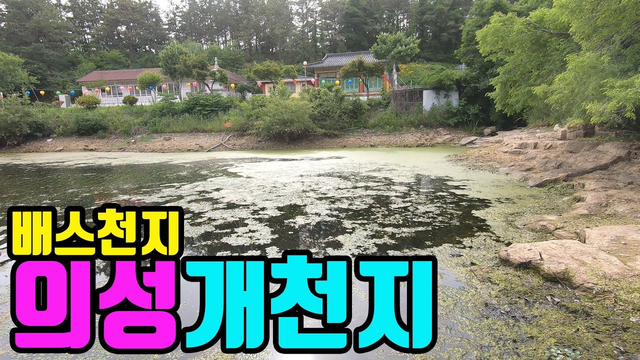 배스천지 의성 개천지