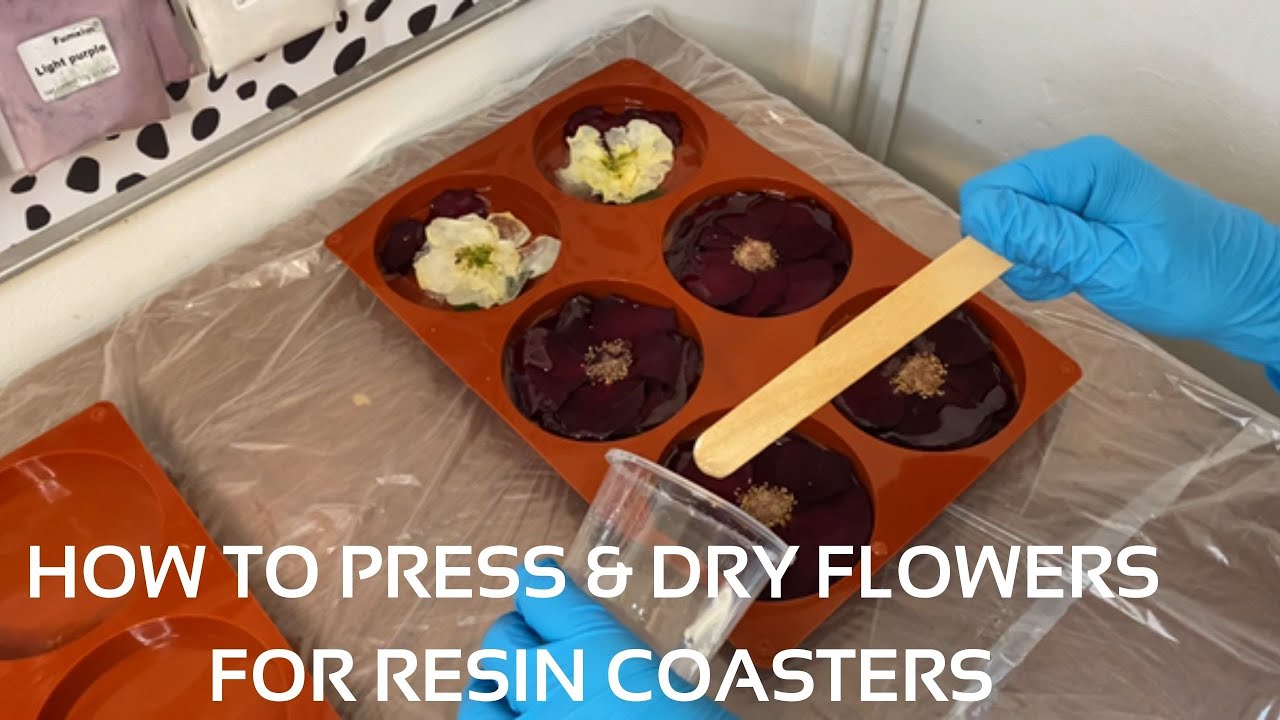 HOW TO | PRESS & DRY FLOWERS FOR RESIN COASTERS