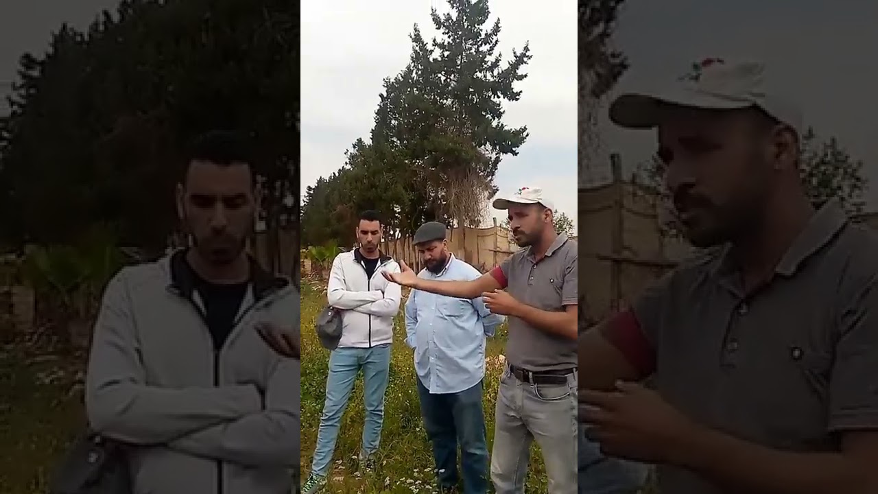 تركيب مزرعة لتربية الحلزون من الألف إلى الياء (المدرسة الحقليةFFS SOUSS)