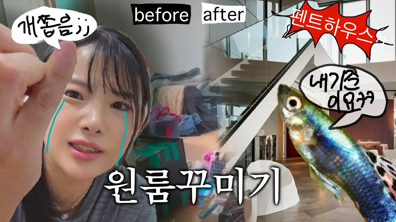 친구0명 아싸가 비좁은 서울원룸꾸미는법 (물고기키우는법, 친구늘리기)