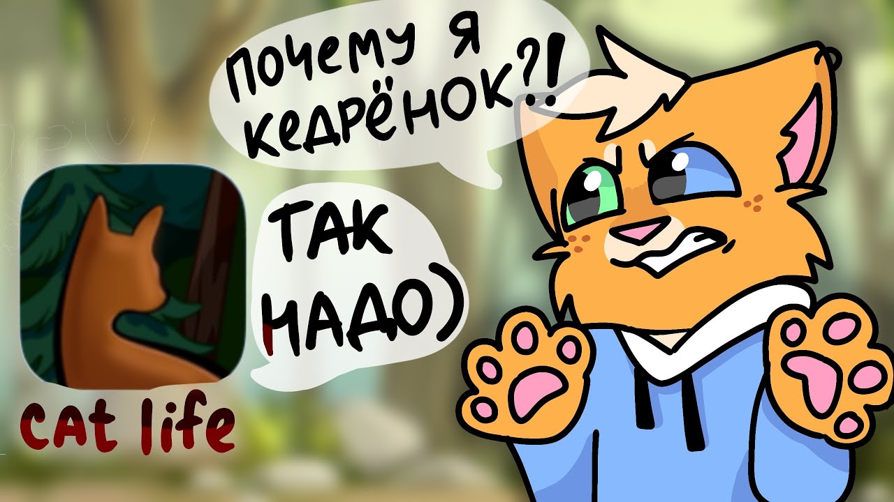 🐈ИГРАЕМ В CatLife ||CatWar на минималках||🪶