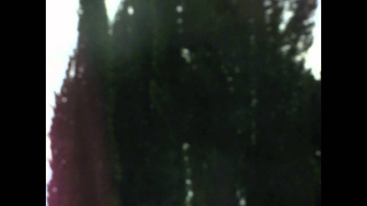 LE CHOCOLAT NOIR - Les Ombres