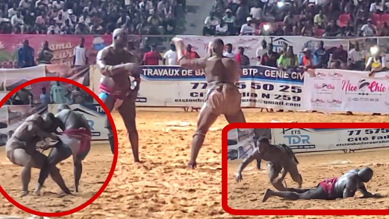 Incroyable : BB Diene écrase Baymadione à l'arène national - 13 Août 2023