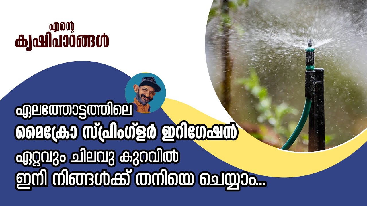 ഏലത്തോട്ടത്തിലെ മൈക്രോ സ്പ്രിംഗ്‌ളർ ഇറിഗേഷൻ ഏറ്റവും ചിലവു കുറച്ച് തനിയെ ചെയ്യാം.