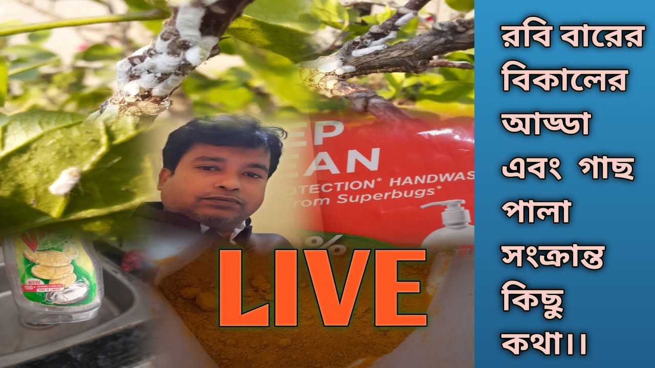 রবি বারের বিকালের আড্ডা এবং  গাছ পালা  সংক্রান্ত  কিছু  কথা।।