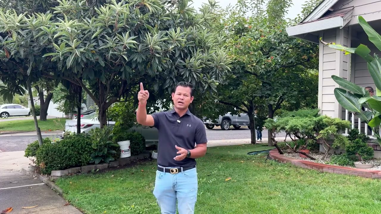 ព្រឹកនៅផ្ទះបងញ៉ាន់តើមានអ្វីខ្លះ