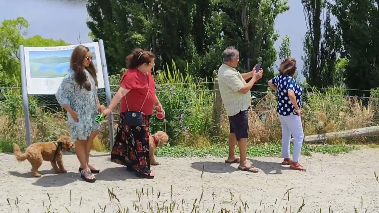 video 20241224 135102