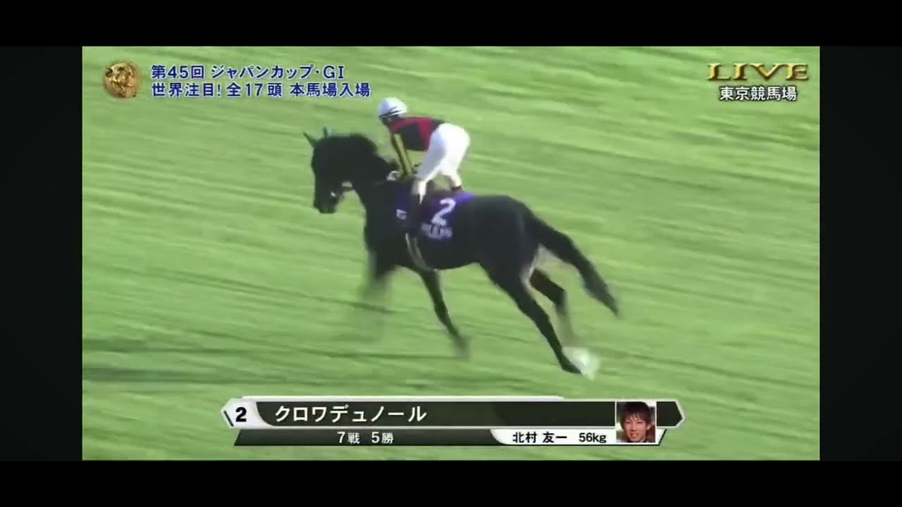2025年第45回ジャパンカップG1 本馬場入場