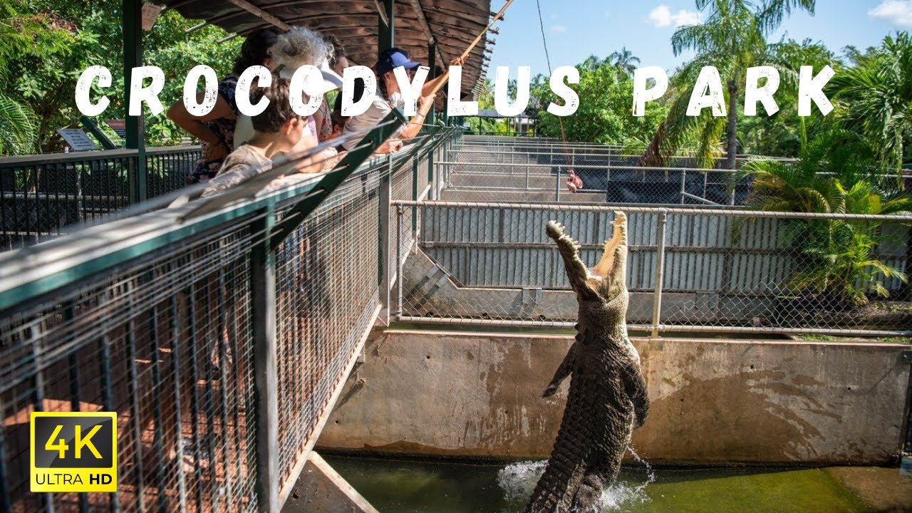 Crocodylus Park Darwin Walking Tour | 4K Ultra HD | Witness Giant Saltwater Crocodiles Feeding! 🐊