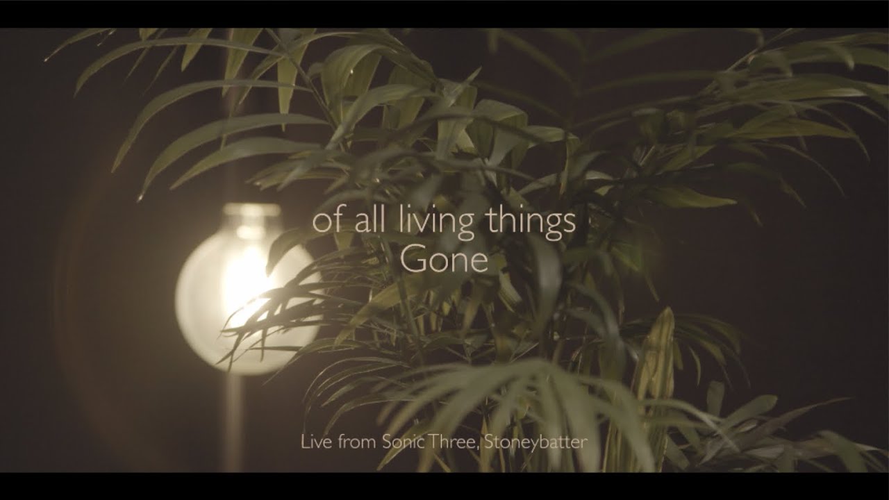 of all living things - Gone (Live from Sonic Three)