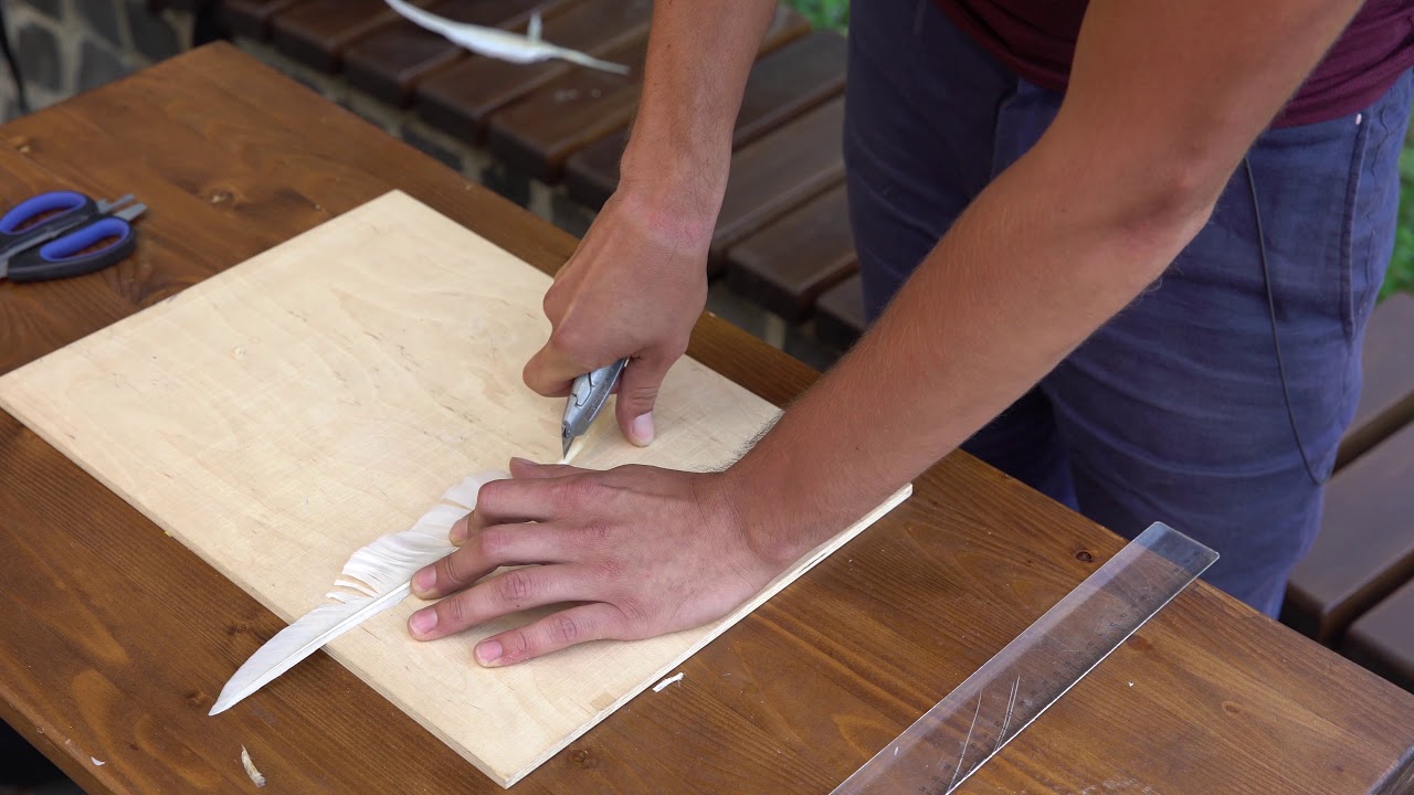 Pengető készítés lúdtollból / how to make a pick from goose-feather