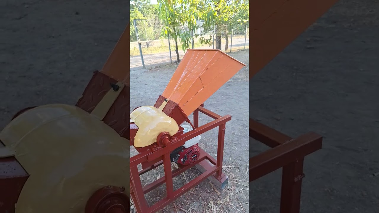picadora