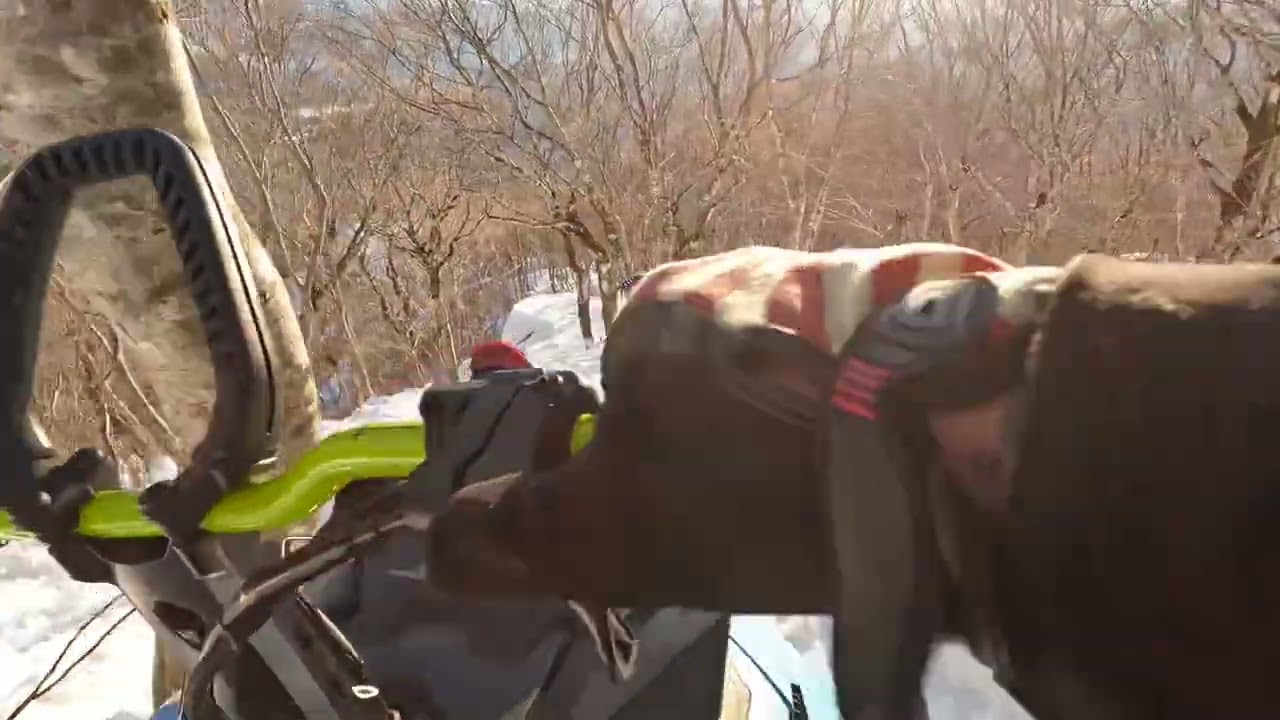 恐怖の下り　