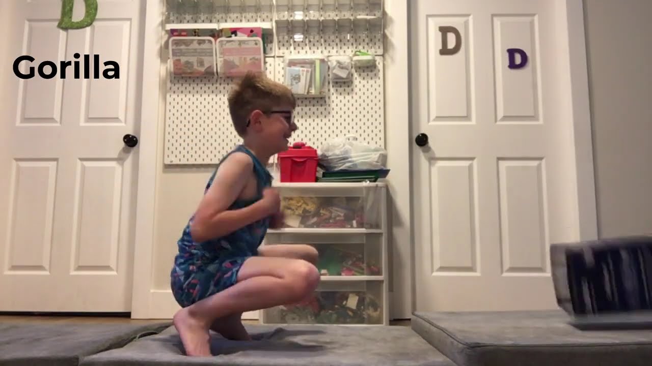 Animals VS. Dummy