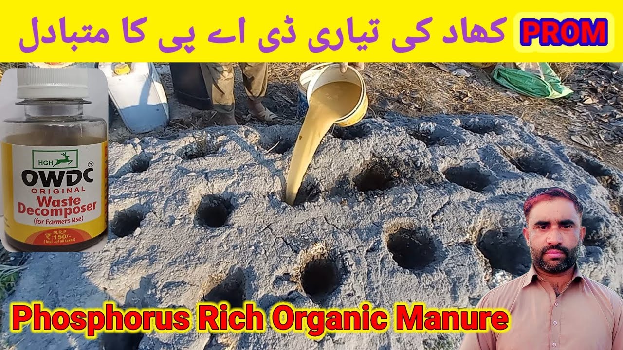 PROM- Phosphorus Rich Organic Manure|| How to make PROM #Phosphorus Rich Organic Manure