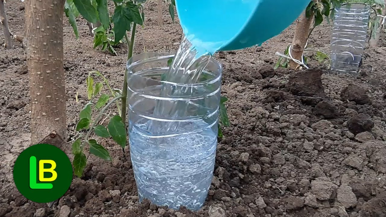 Ovo je jednostavan sistem za navodnjavanje biljaka pomoću plastičnih flaša