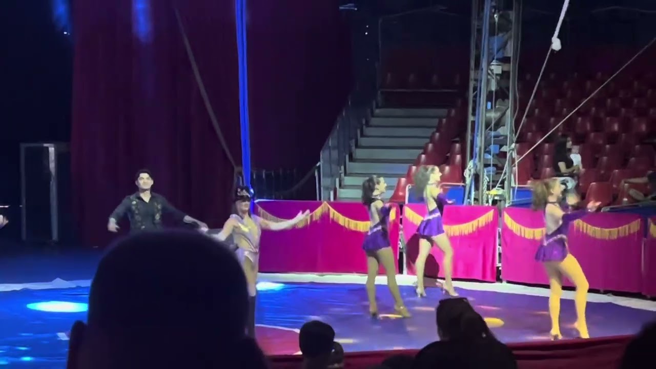 Hannah Hewitt Circus Reel 