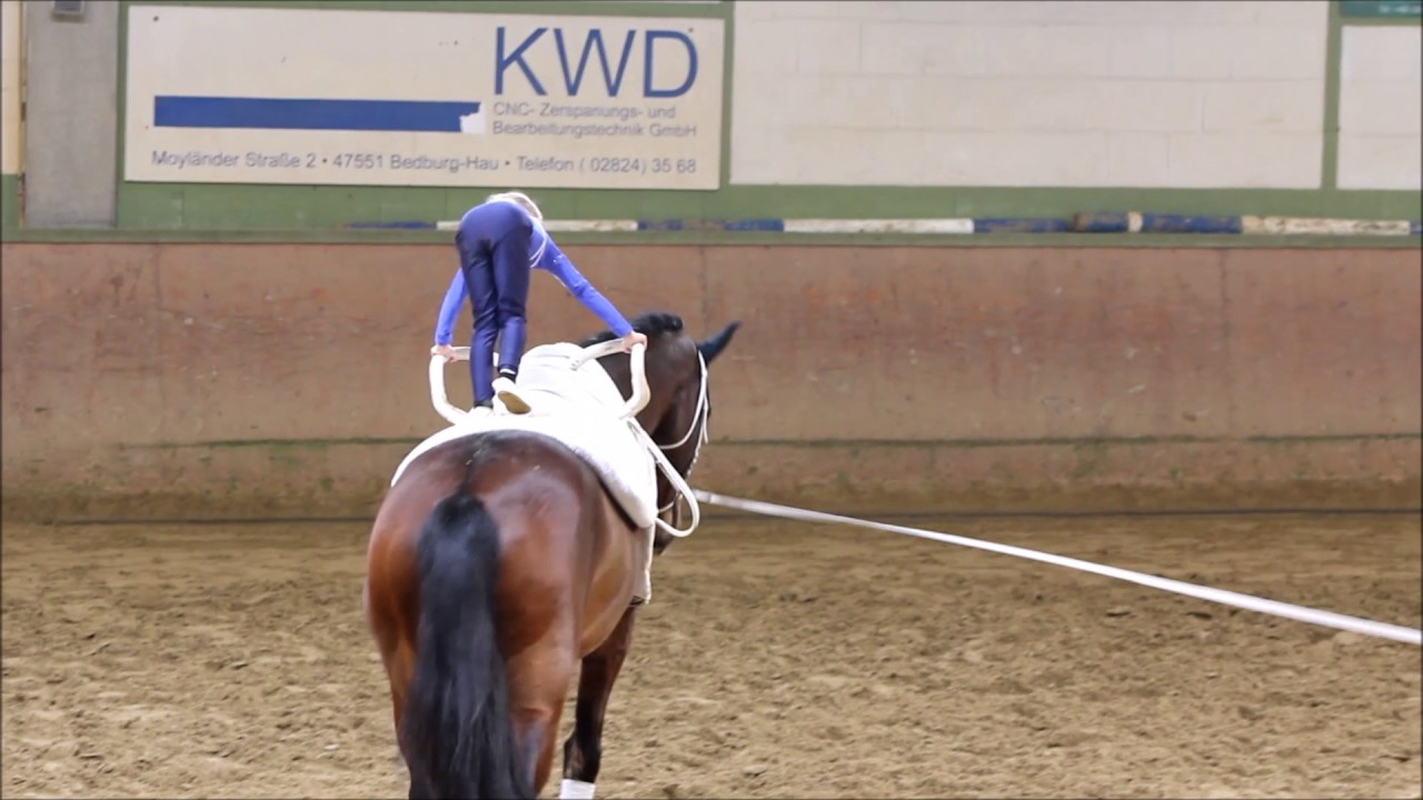 Das kleine Hufeisen - Voltigierabzeichen Lara