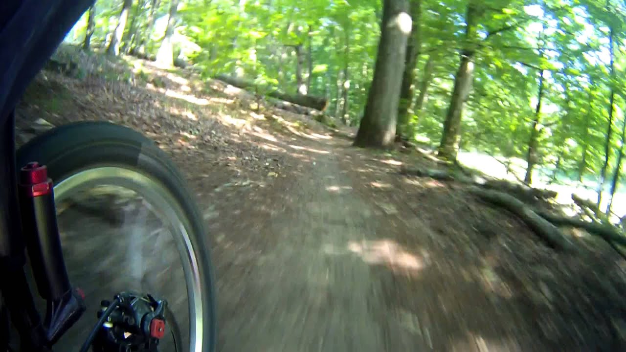 kolofogo heckcam
