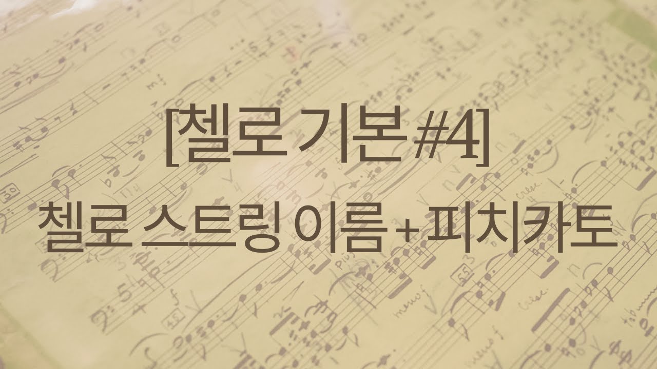 [첼로 기본 #4] 첼로 스트링 이름 + 피치카토