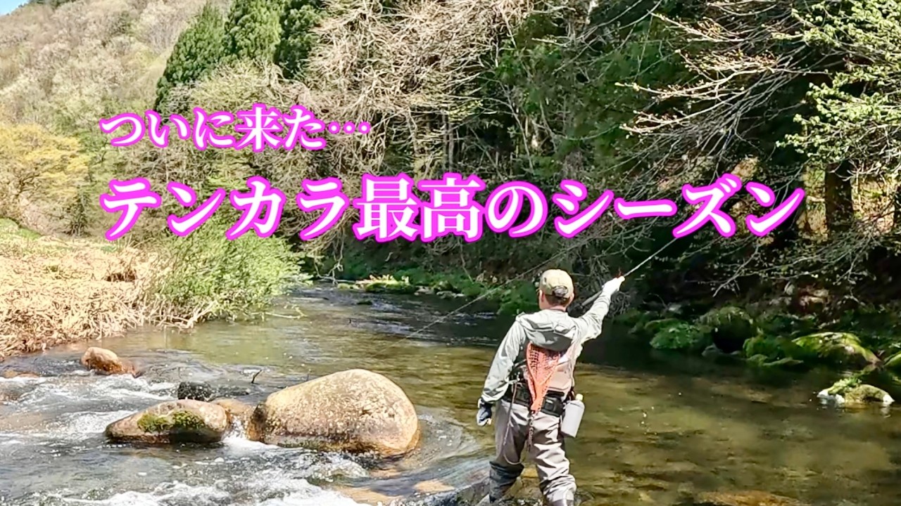 テンカラ始めるなら今！最盛期に名手と渓へ！