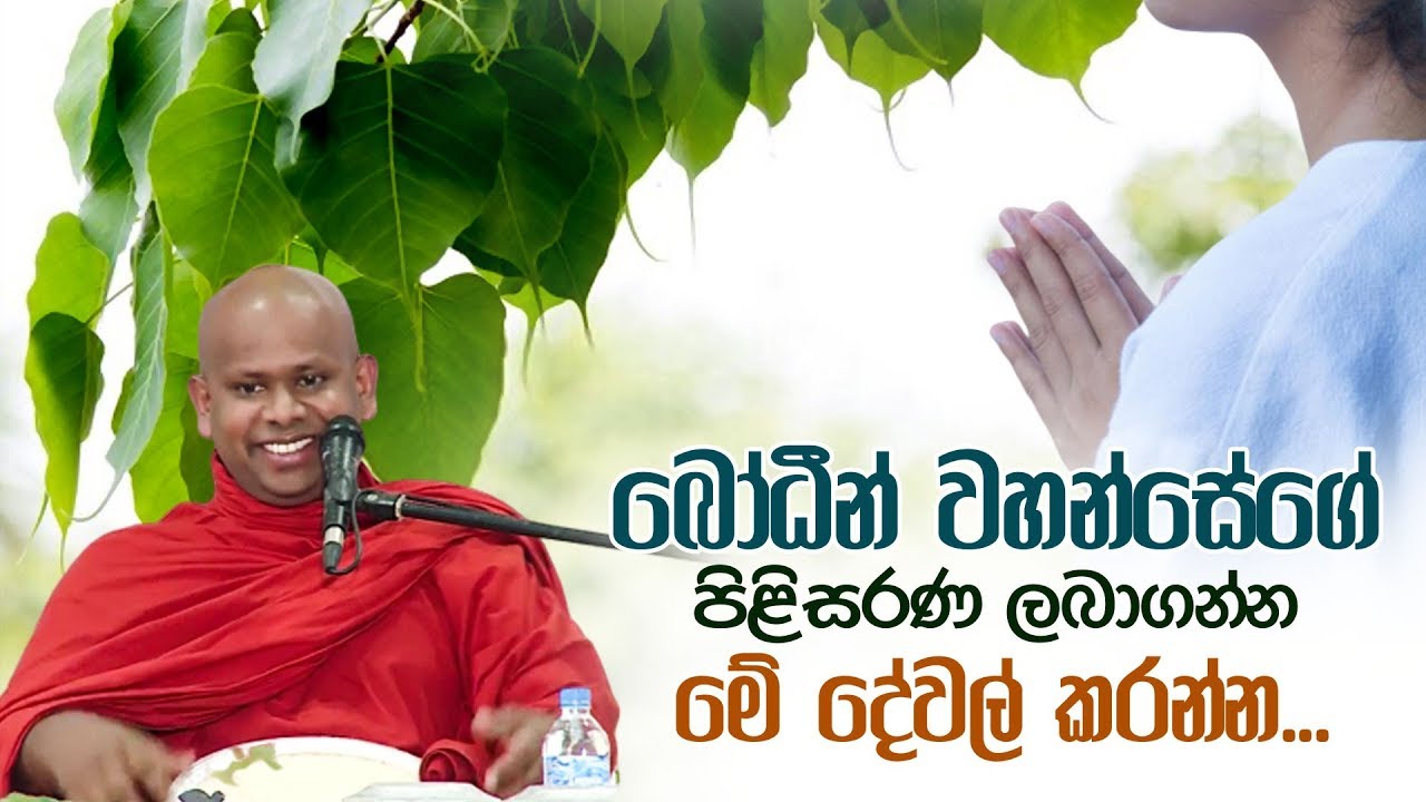 බෝධීන් වහන්සේගේ පිළිසරණ ලබාගන්න මේ දේවල් කරන්න | Walimada Saddaseela Thero