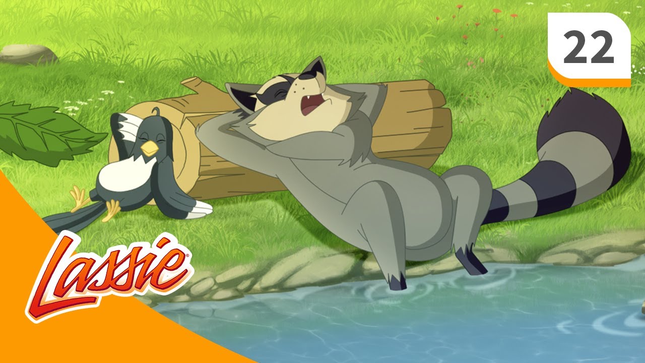 Lassie - Season 1 - Episode 22 - Condors In The Valley - FULL EPISODE