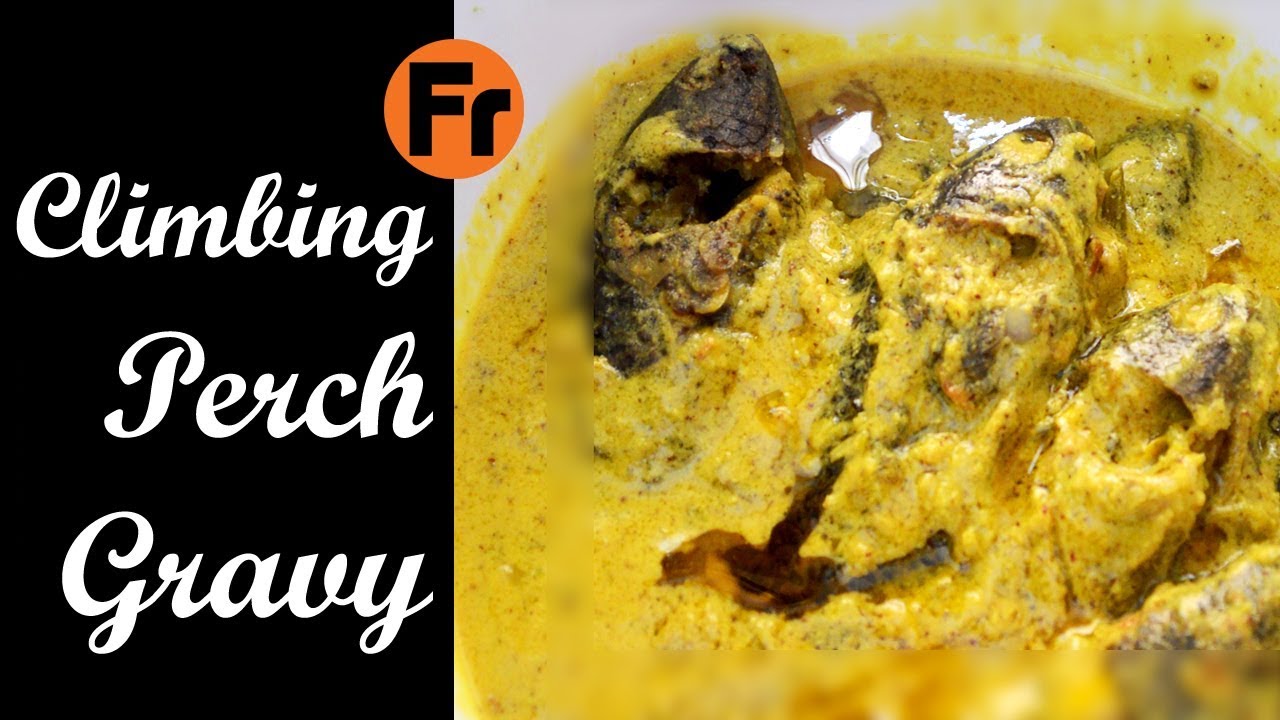Climbing Perch Gravy | Doi Sorse Koi Mach Kosa | সরষে দই নারকেল দুধে কই | कई मछ्ली कि रसा |