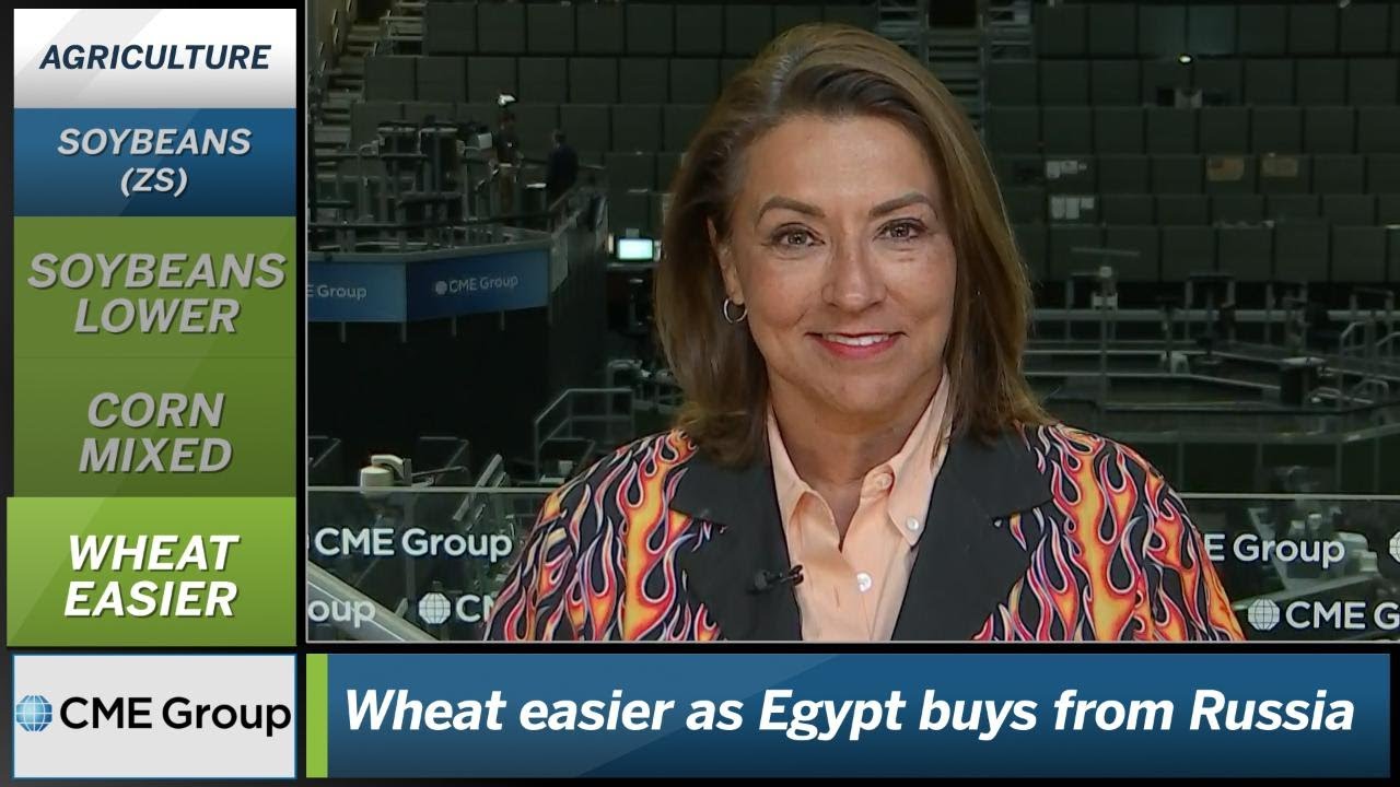September 5 Grains Commentary: Virginia McGathey