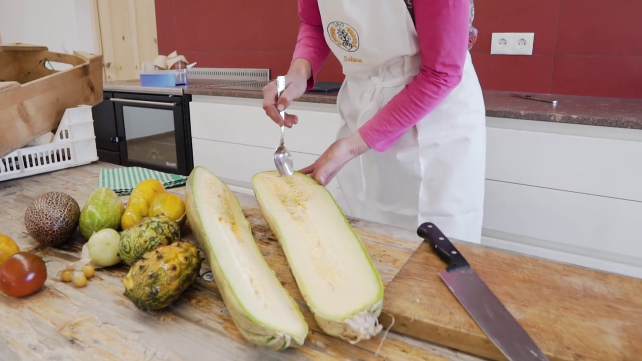 Saatgutvermehrung Zucchini mit 