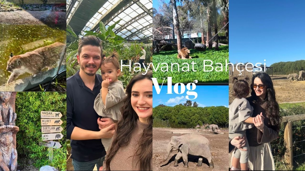 Hayvanat Bahçesi Vlog | İzmir Doğal Yaşam Parkı Deneyimimiz 🦒
