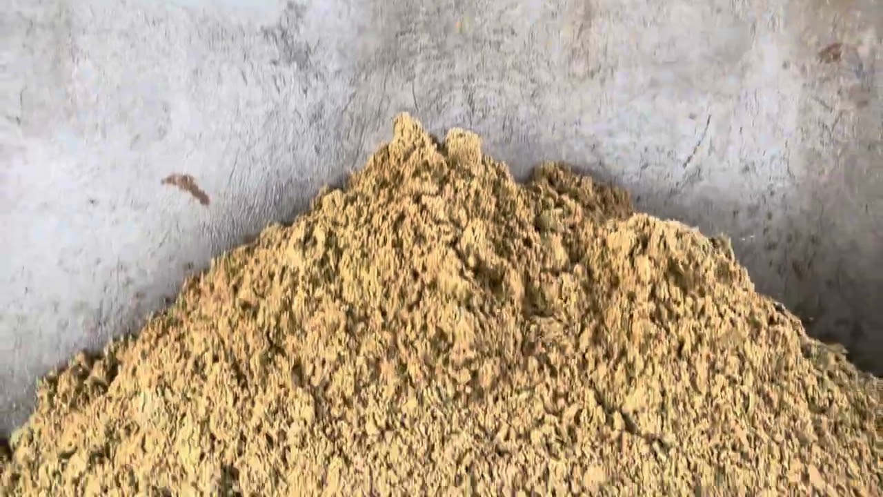TURNING CHICKEN POOPS INTO BIOGAS