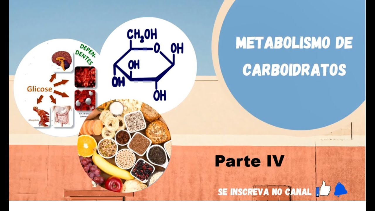 Metabolismo de Carboidratos #4 - Gliconeogênese e Via das Pentoses-fosfato (reedição)