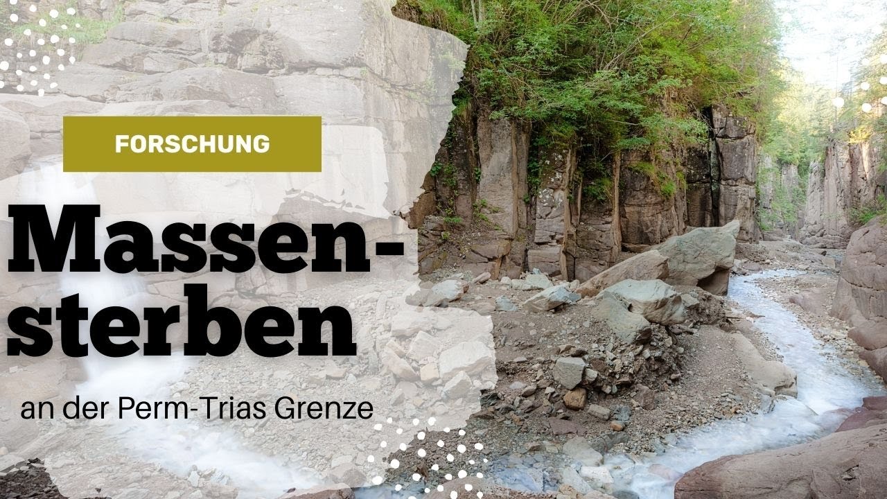 Das Massensterben an der Perm-Trias Grenze